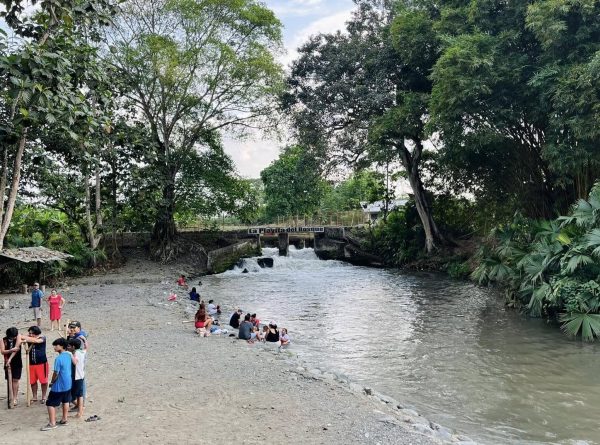 La Playita del Bosque