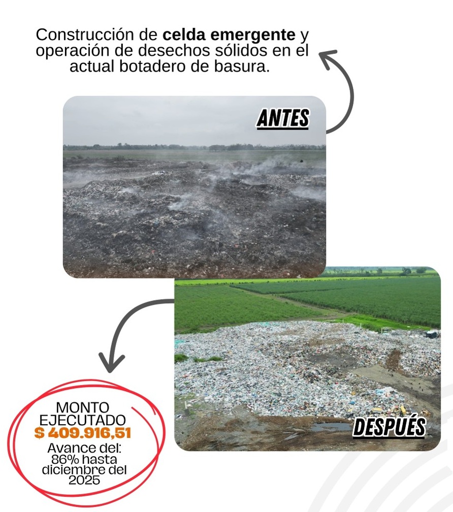 celda emergente9